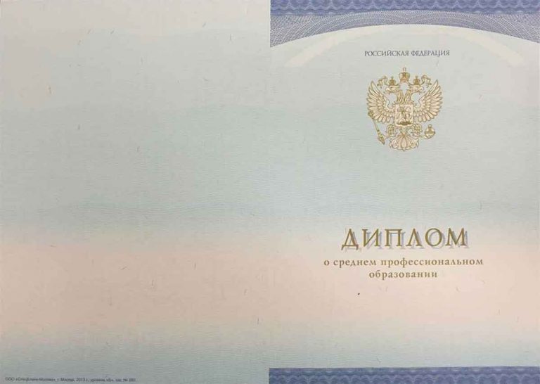 Диплом технолога 2014-2020 года